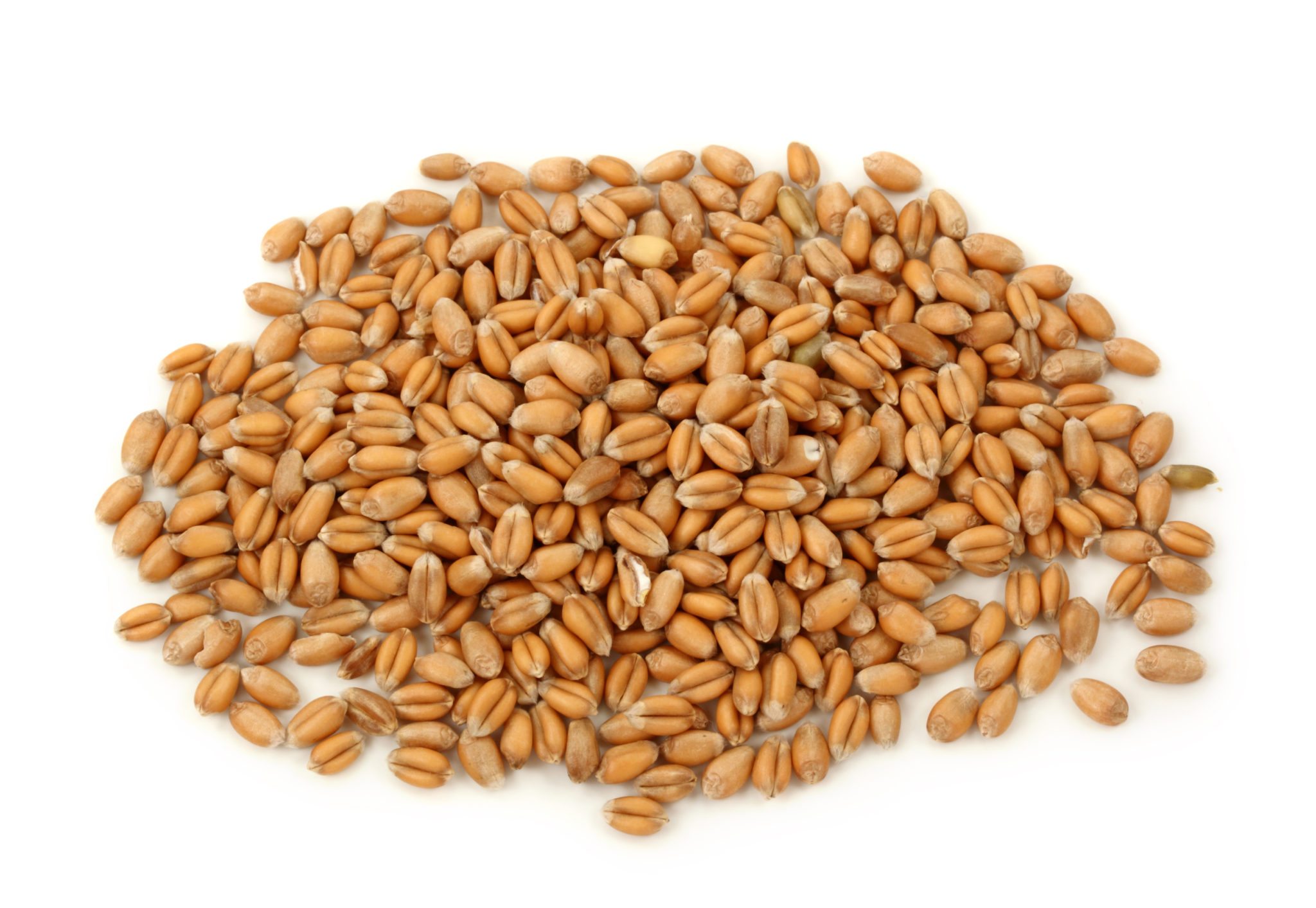 Wheat - Seaboard Overseas and Trading Group